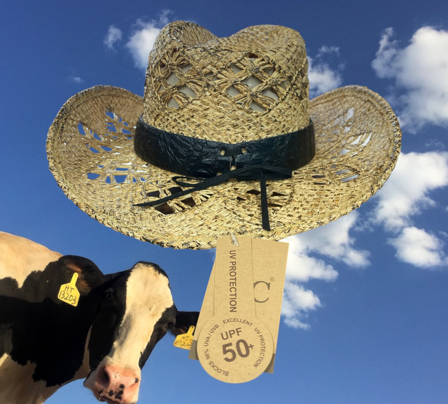 Longhorn Cowgirl Hat